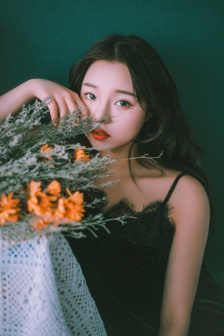 图书馆女朋友免费观看高清电视剧